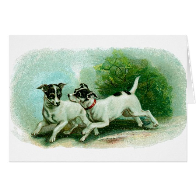 Cartão Ilustração antiga do Fox Terrier (Frente Horizontal)