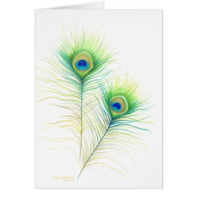 Cartão Ilustração de Aquarela de Penas de Peacock (Frente)