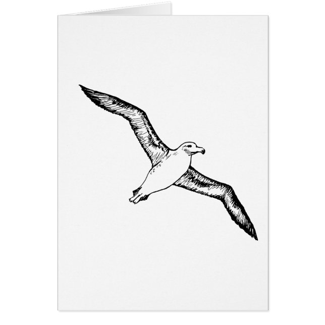 Cartão Ilustração do albatroz do vôo (Frente)