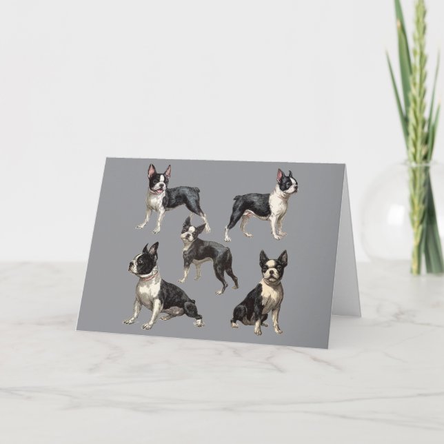 Cartão Ilustração do Boston Terrier (Frente)