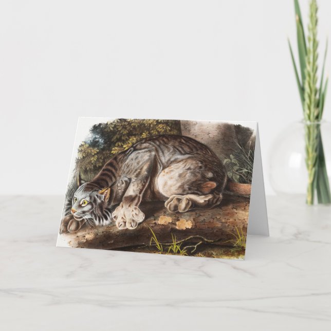 Cartão Ilustração do Lynx (Lynx Canadensis) do Canadá (Frente)