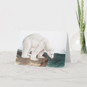 Cartão Ilustração do Urso Polar (Ursus maritimus)