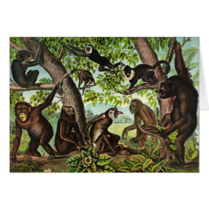 Cartão Ilustração do vintage - selva do macaco,