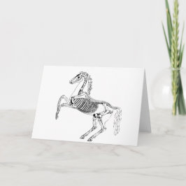 Cartão Ilustração Esqueleto de Cavalo Vitoriano