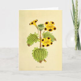 Cartão Ilustração Floral Amarela e Vermelha Vintage