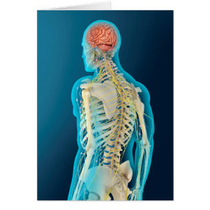 Cartão Ilustração médica do cérebro humano & da haste