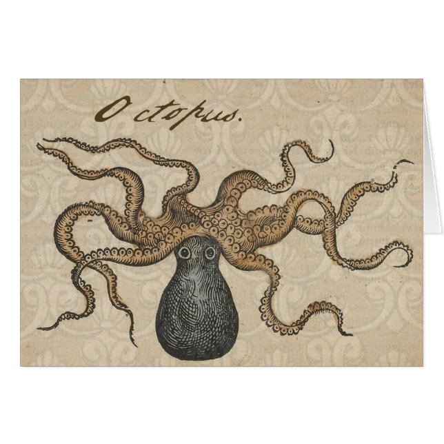 Cartão Ilustração Octopus Kraken Vintage (Frente Horizontal)