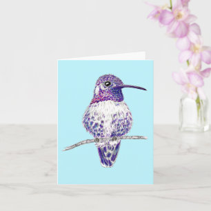 Cartão Ilustração Purple Costas Hummingbird