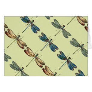 Cartão Ilustrações da libélula