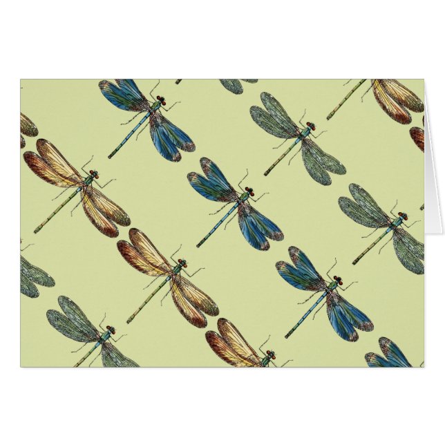 Cartão Ilustrações da libélula (Frente Horizontal)