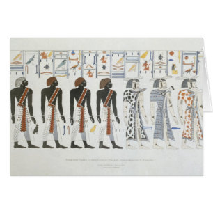 Cartão Ilustrações dos hieroglyphics dos túmulos de t