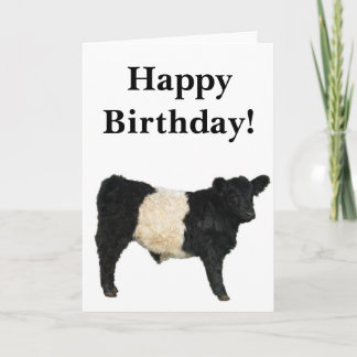 Cartão Ilustrado de Görgeous Belted Galloway Steer