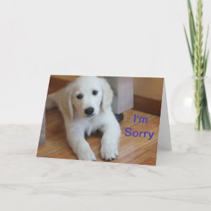 Cartão I'm Sorry apology card