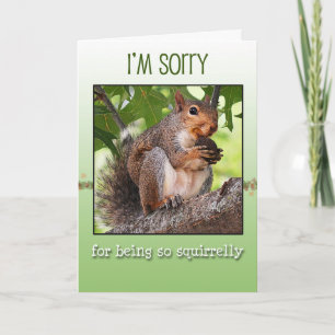 Cartão I'm sorry greeting card with squirrel