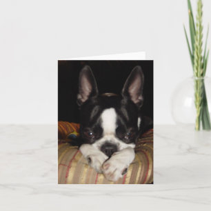 Cartão I'm sorry note card