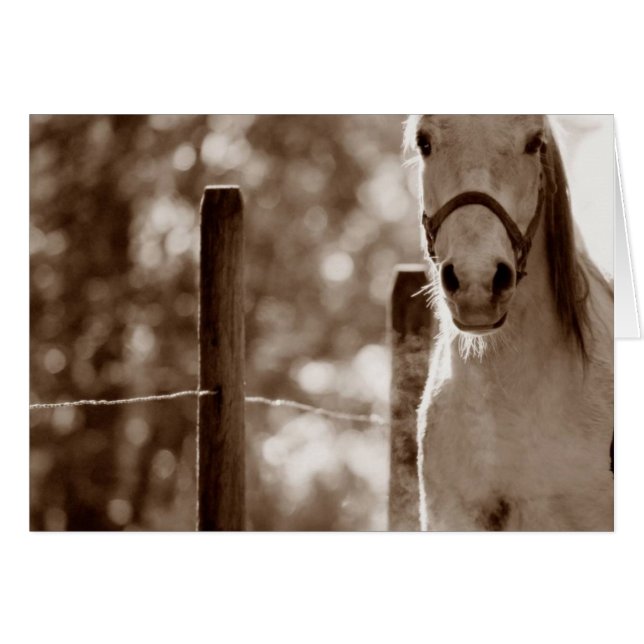 Cartão Imagem1 (Frente horizontal)