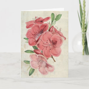 Cartão Imagem Botânica Vintage Azalea