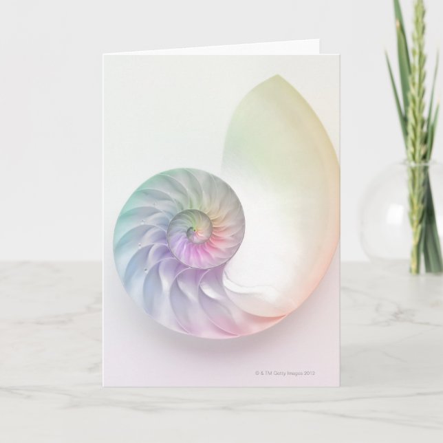 Cartão Imagem colorida artística do nautilus (Frente)