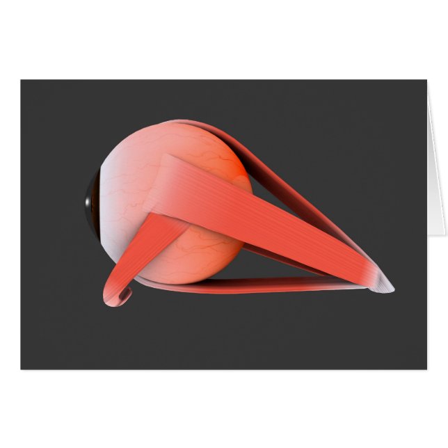 Cartão Imagem Conceitual Da Anatomia Ocular Humana 7 (Frente Horizontal)