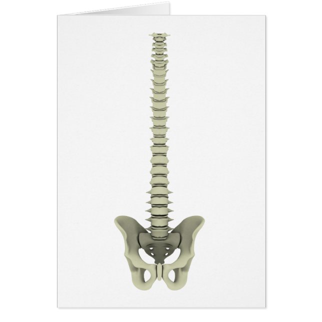 Cartão Imagem Conceitual Da espinha dorsal Humana 1 (Frente)