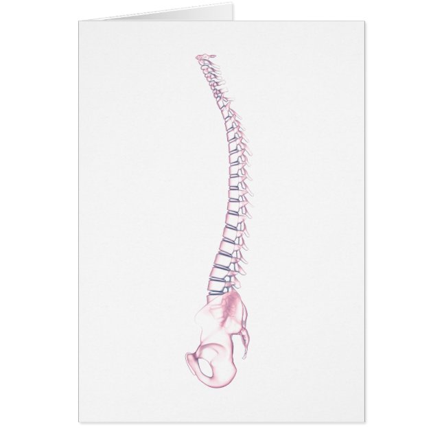 Cartão Imagem Conceitual Da espinha dorsal Humana 3 (Frente)