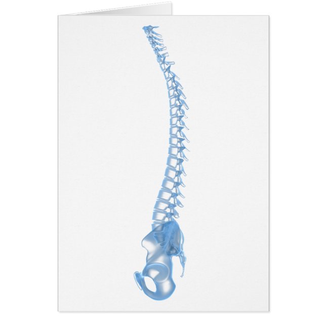 Cartão Imagem Conceitual Da espinha dorsal Humana 5 (Frente)