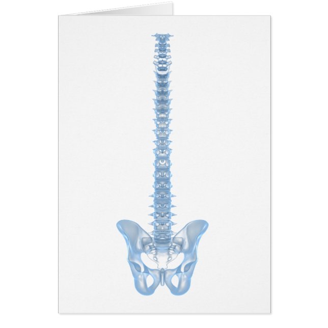 Cartão Imagem Conceitual Da Espinha dorsal Humana 6 (Frente)