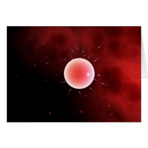 Cartão Imagem Conceitual Da Fertilização Comum