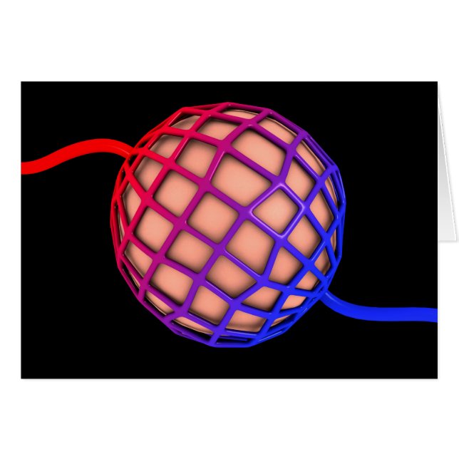 Cartão Imagem Conceitual De Alveolus (Frente Horizontal)