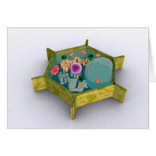 Cartão Imagem Conceitual De Uma Célula Vegetal