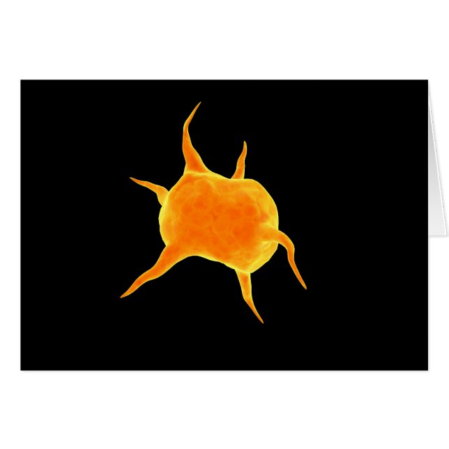 Cartão Imagem Conceitual De Uma Plaqueta (Frente Horizontal)