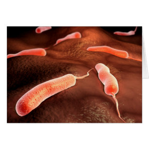 Cartão Imagem Conceitual De Vibrio Cholerae 1
