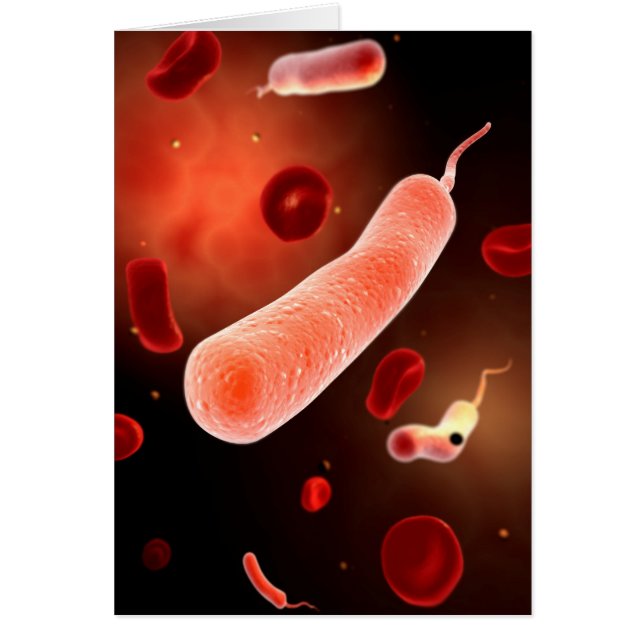 Cartão Imagem Conceitual De Vibrio Cholerae 2 (Frente)