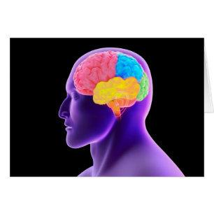 Cartão Imagem Conceitual Do Cérebro Humano 7