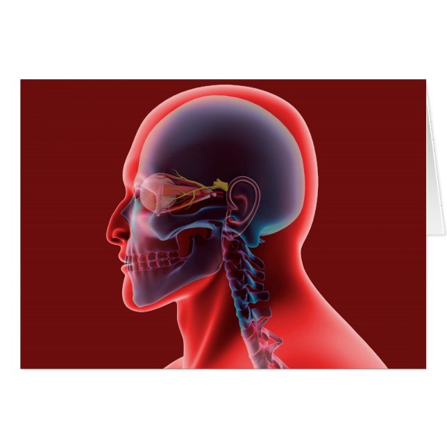 Cartão Imagem Conceitual Do Olho Humano E Do Crânio (Frente Horizontal)