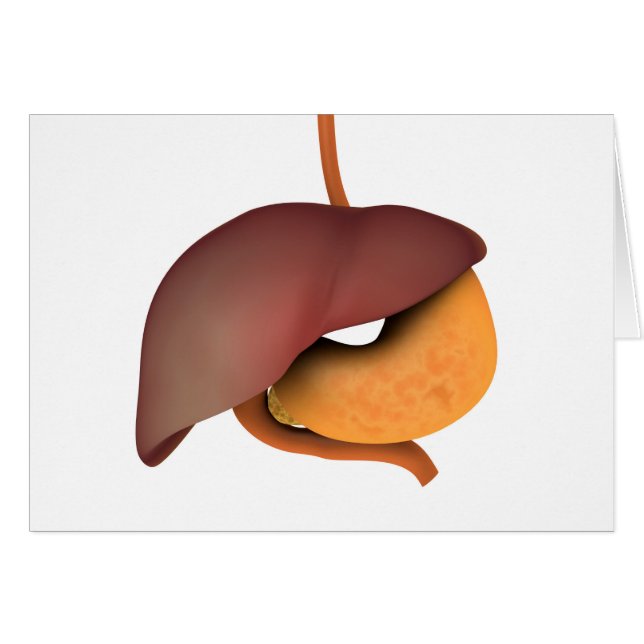 Cartão Imagem Conceitual Do Sistema Digestivo Humano 3 (Frente Horizontal)