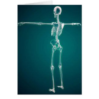 Cartão Imagem Conceitual Do Sistema Esquelético Humano