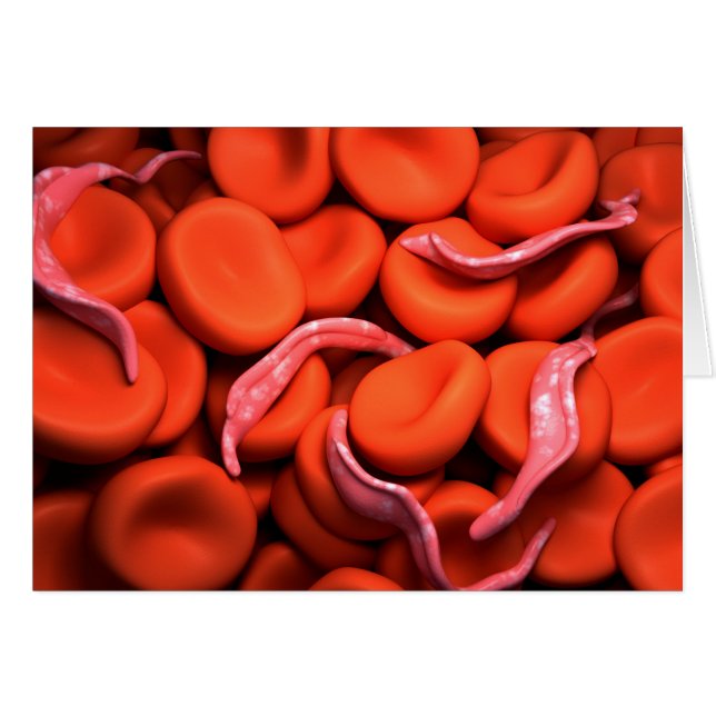 Cartão Imagem Conceitual Do Trypanosoma 3 (Frente Horizontal)