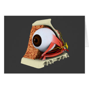 Cartão Imagem conceptual da anatomia 1 do olho humano