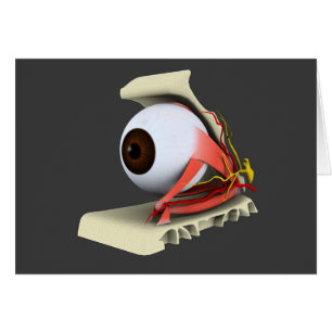 Cartão Imagem conceptual da anatomia 6 do olho humano