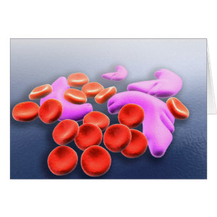 Cartão Imagem conceptual da anemia da célula falciforme