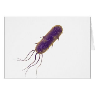 Cartão Imagem conceptual da bactéria Flagellate 2