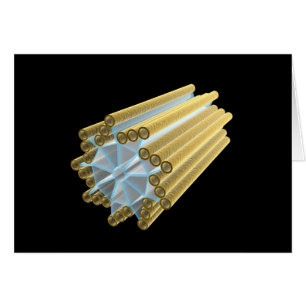 Cartão Imagem conceptual da centriole