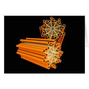 Cartão Imagem conceptual das centrioles 1