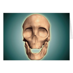 Cartão Imagem conceptual do crânio humano, vista