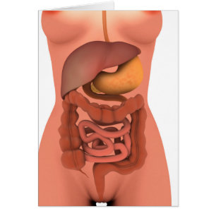 Cartão Imagem conceptual do sistema digestivo humano 5