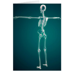 Cartão Imagem conceptual do sistema esqueletal humano