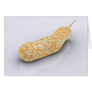 Cartão Imagem conceptual do Vibrio Cholerae 3