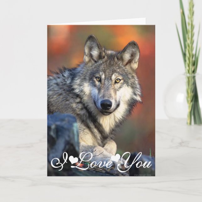 Cartão Imagem de Fotografia de Lobo Eu Te Amo (Frente)