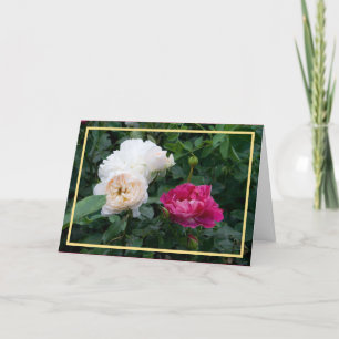Cartão Imagem do Ouro Fotográfico das Rosas Rosa-de-Crem